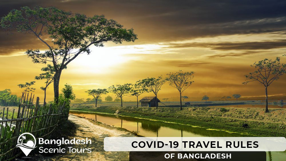 Covid 19 Travel Rules